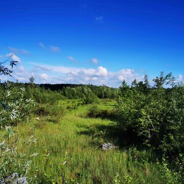 Exkursion zum Eignerbach - Folgebiotope nach Einstellung des Betriebes